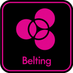 logo Belting